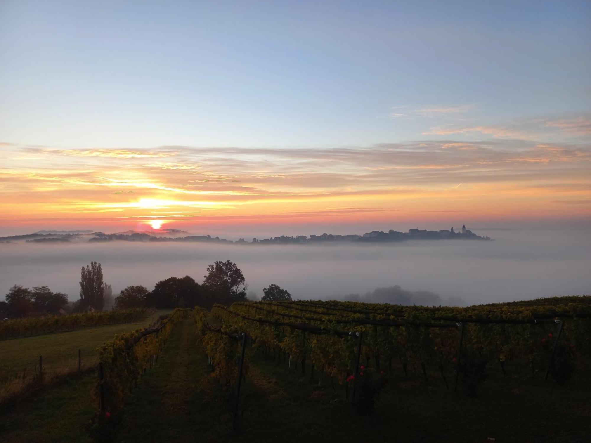 Winzerzimmer Scharl Sankt Anna am Aigen ภายนอก รูปภาพ