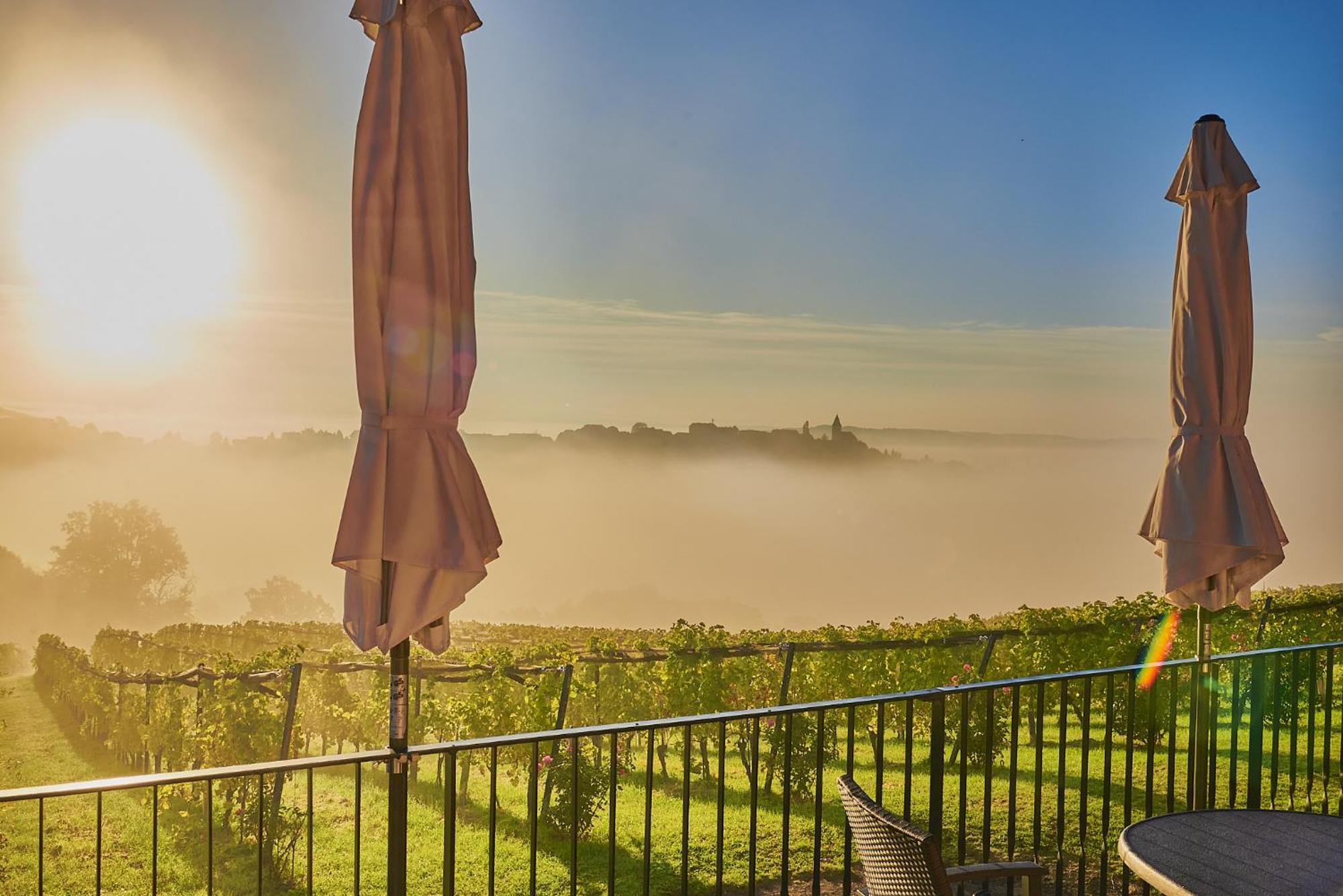 Winzerzimmer Scharl Sankt Anna am Aigen ภายนอก รูปภาพ