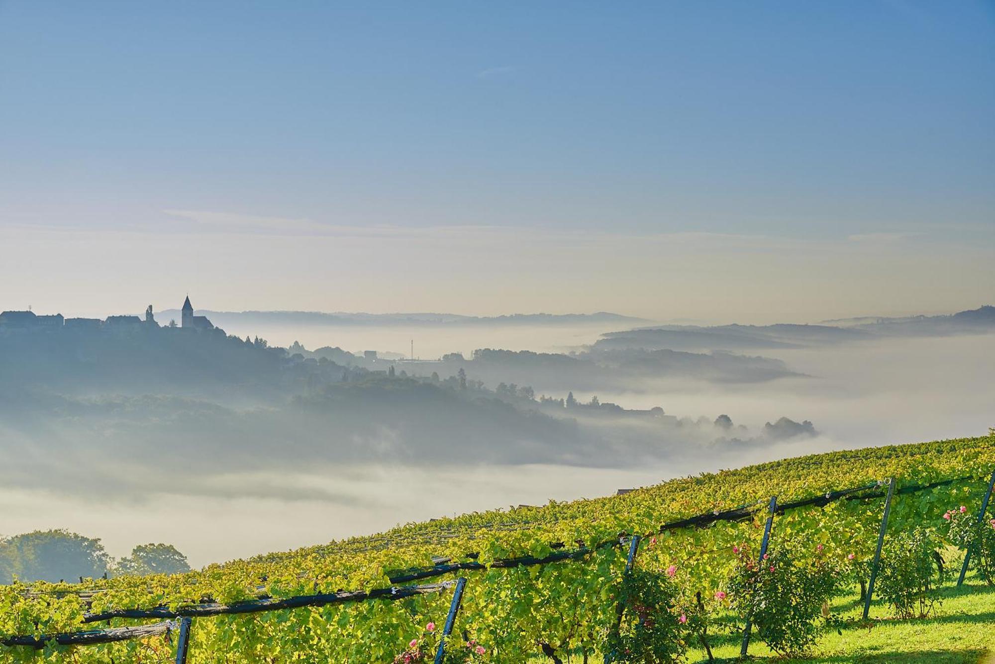 Winzerzimmer Scharl Sankt Anna am Aigen ภายนอก รูปภาพ