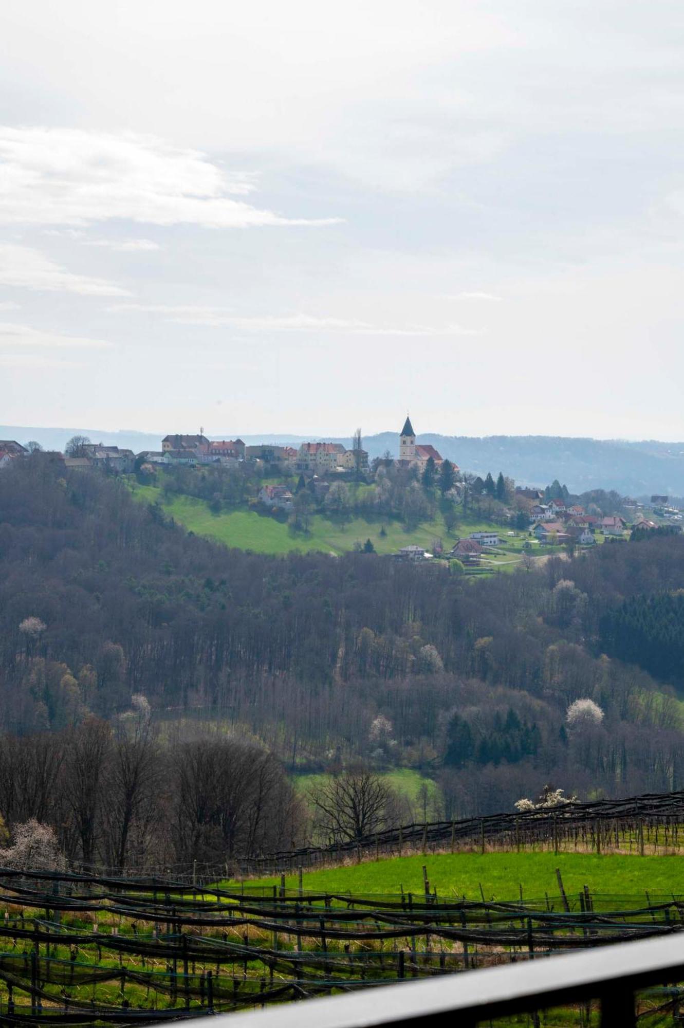 Winzerzimmer Scharl Sankt Anna am Aigen ภายนอก รูปภาพ